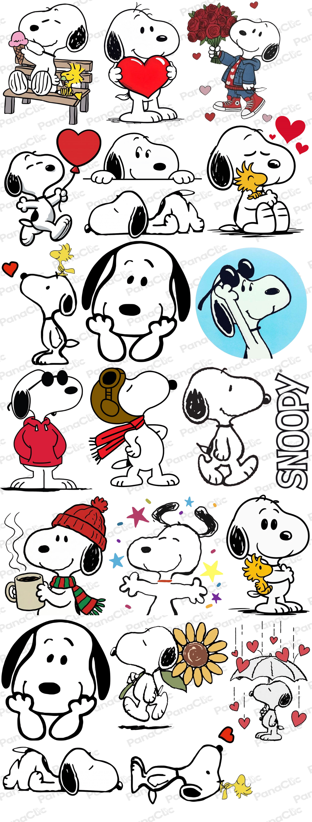 DTF TEXTIL SNOOPY